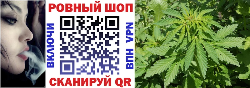 Где продают наркотики Володарск Гашиш  Амфетамин  Меф мяу мяу  Кокаин 
