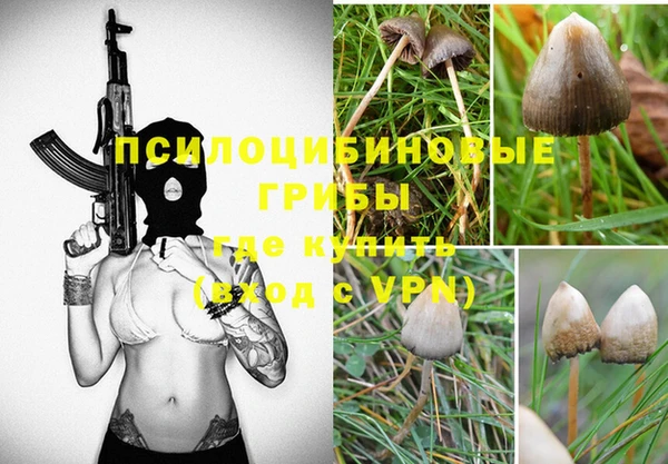 PSILOCYBIN Верхний Тагил