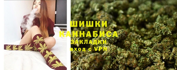 PSILOCYBIN Верхний Тагил