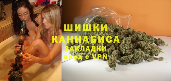 PSILOCYBIN Верхний Тагил