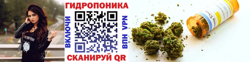 цена   Володарск  Конопля ГИДРОПОН 
